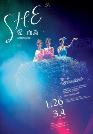 S.H.EΪһݳӰ 2010й̨ݳH E Is The One Tour