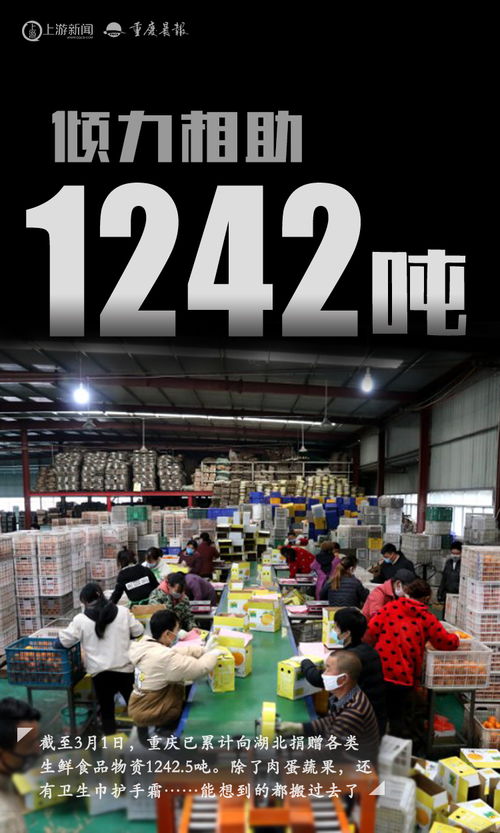 四虎影库男天堂 男性观影偏好的数字镜像